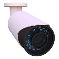 Купить Уличная IP камера BSP 1080-PVA-2812DC в Москве с доставкой по всей России
