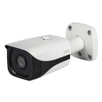 Купить Уличная IP камера RVi-CFP40/50F36/I rev.D в Москве с доставкой по всей России