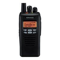 Рация Kenwood NEXEDGE NX-200E3