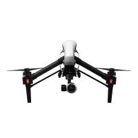 DJI INSPIRE 1 (два передатчика)