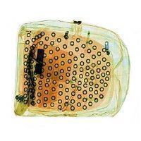 Рентгеновский интроскоп ТС-СКАН 6575 2