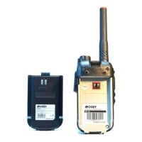 Рация Roger KP-19