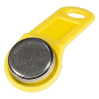 Купить Ключ SB 1990 A TouchMemory (желтый) в Москве с доставкой по всей России