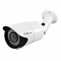 Купить Уличная IP-камера Polyvision PNM-IP2-V12P v.2.5.6 в 