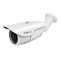 Купить Уличная IP-камера Polyvision PNM-IP2-Z4P v.2.5.8 в 