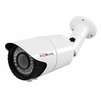 Купить Уличная IP-камера Polyvision PNM-IP2-V12 v.2.3.6 в 
