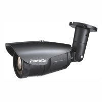 Купить Уличная IP-камера Pinetron PNC-IB2E3_P в Москве с доставкой по всей России