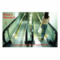 Macroscop Модуль "Подсчет посетителей" ST