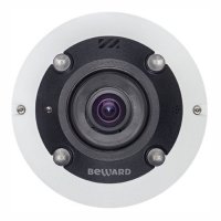 Купить Купольная IP камера BEWARD BD3990FL2 в Москве с доставкой по всей России