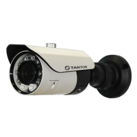 Купить Уличная IP-камера Tantos TSi-Pm451V (3-12) в 