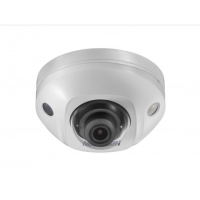 Купить DS-2CD2543G2-IWS(2.8мм) в Москве с доставкой по всей России