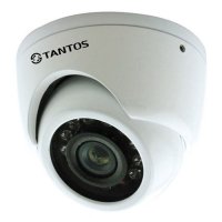 Купить Купольная видеокамера Tantos TSc-EBm960CHB (2.8) в 