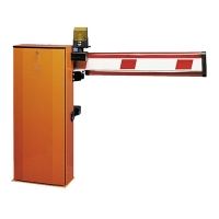 CAME GARD 6000 DX COMBO CLASSICO