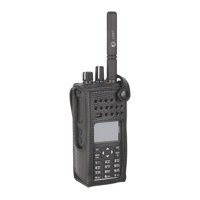 Купить Motorola PMLN5838 в 