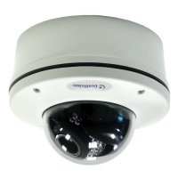 Купить Купольная IP-камера GEOVISION GV-VD322D в 