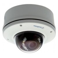 Купить Купольная IP-камера GEOVISION GV-VD321D в 