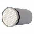 Купить Светодиодный светильник Ферекс ДСП 03-135-50-К15 в 