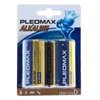 Купить Samsung Pleomax LR20-2BL (20/80/3840) в 