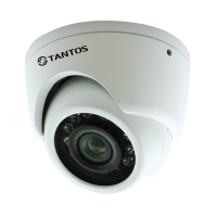 Купить Купольная IP-камера Tantos TSc-EBm600CHB (2.8) в 