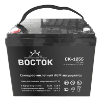 Купить Восток СК 1255 в Москве с доставкой по всей России