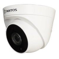Купить Купольная IP-камера Tantos TSi-Eeco25F (3.6) в 