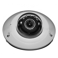 Купить Купольная IP-камера Tantos TSi-De43FPM (2.8) в 