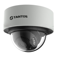 Купить Купольная IP-камера Tantos TSi-Dn236FP (3.6) в 