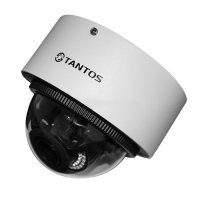 Купить Купольная IP-камера Tantos TSi-Vn235VPZ (2.8-12) в 