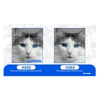 Уличная IP-камера Proline PR-IB2413VC