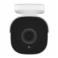 Уличная IP-камера Proline PR-IB2413VC