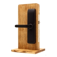 Private Amaris FP Black