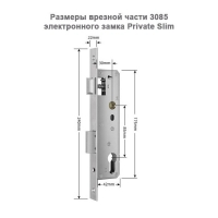 Private Slim SIlver FP