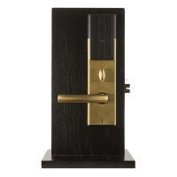 Электронный замок Xeeder Sailing (золото)