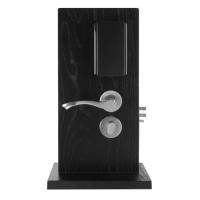 Сетевой электронный замок Xeeder Rome (серебро)