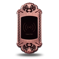 Электронный замок для шкафчика IZ109