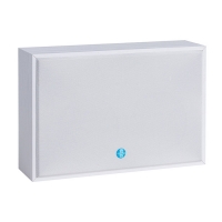 Настенный громкоговоритель SW-4106