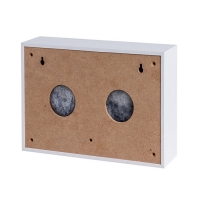 Настенный громкоговоритель SW-4106