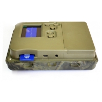 Фотоловушка Сокол