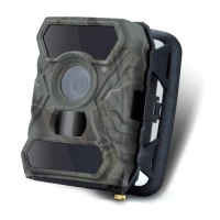 Фотоловушка «Falcon 110»