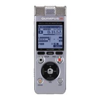 Купить Цифровой диктофон Olympus DM-650 Silver в 