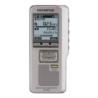 Купить Цифровой диктофон Olympus DS-2500 в 