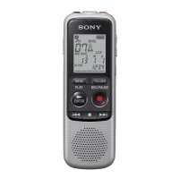 Купить Цифровой диктофон Sony ICD-BX132 в 