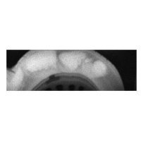 Сканер Ищейка