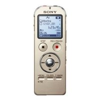 Купить Цифровой диктофон Sony ICD-UX533/N в 