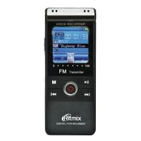 Купить Цифровой диктофон Ritmix RR-960-2GB в 