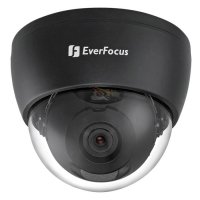Купить Купольная видеокамера EverFocus ECD480 (3,6мм) в 