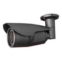 Купить Уличная видеокамера EverFocus ACE620PHV1F(2,8-12) в 