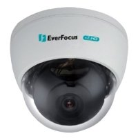 Купить Купольная видеокамера EverFocus ECD900 в Москве с доставкой по всей России