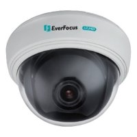 Купить Купольная видеокамера EverFocus ED910 в 