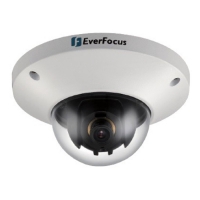 Купить Купольная IP-камера EverFocus EDN228 в Москве с доставкой по всей России